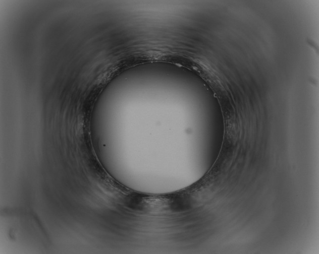 X0000091860221200709191122