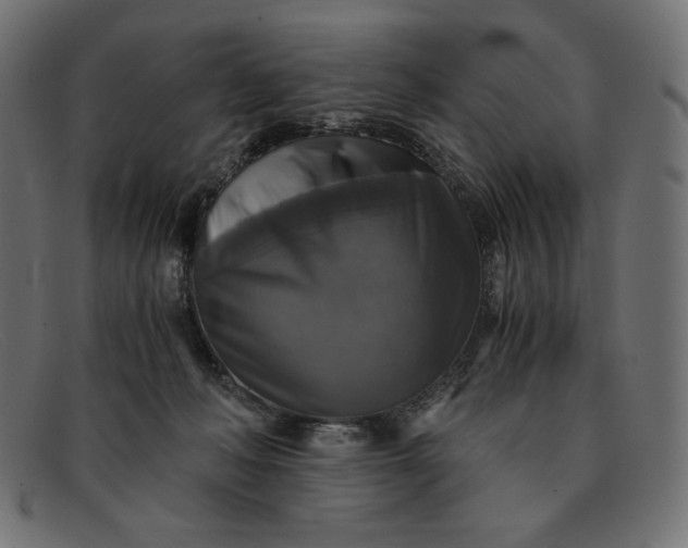 X0000091860222200709191122