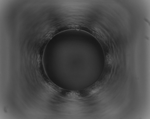 X0000091860223200709191122