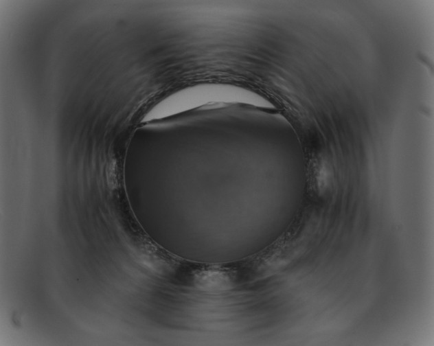 X0000091860224200709191122