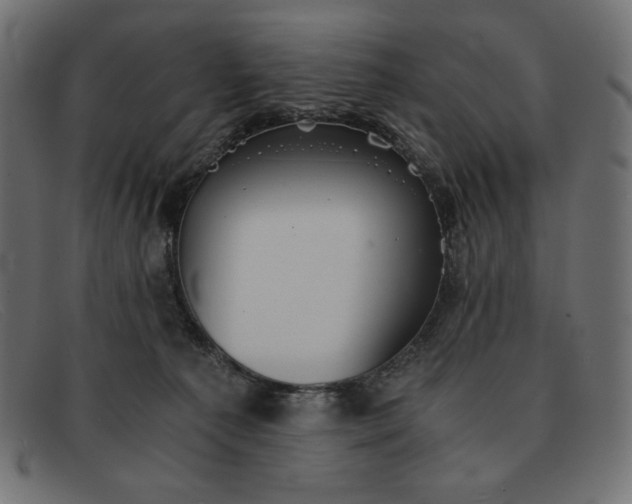 X0000091860225200709191122