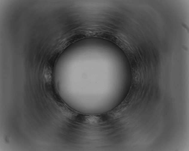 X0000091860226200709191122