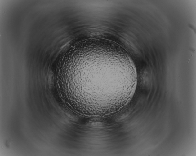 X0000091860228200709191122