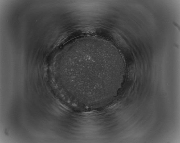 X0000091860229200709191122