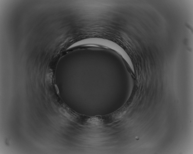 X0000091860231200709191122