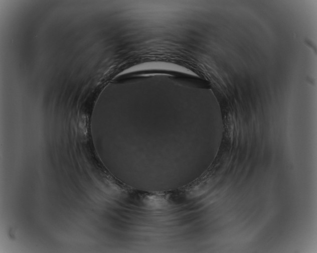 X0000091860232200709191122