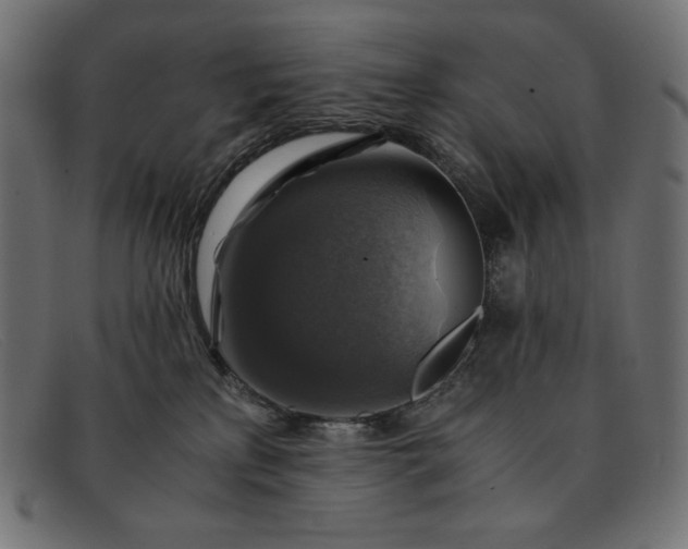 X0000091860233200709191122