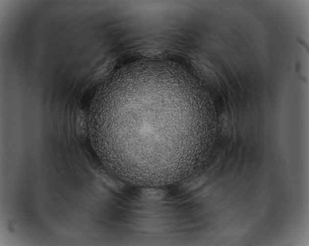 X0000091860234200709191122