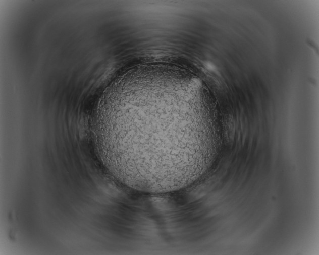 X0000091860236200709191122