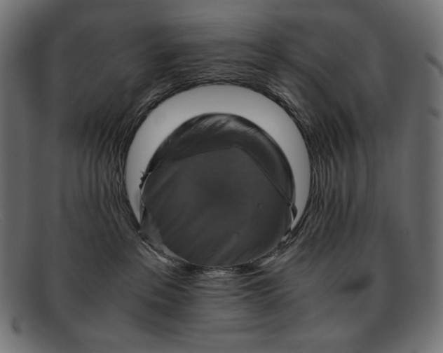 X0000091860237200709191122