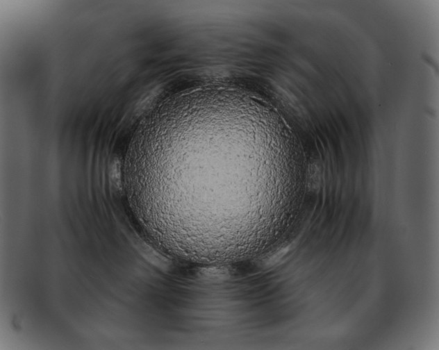 X0000091860238200709191122