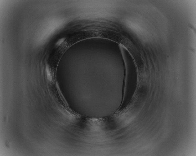 X0000091860239200709191122