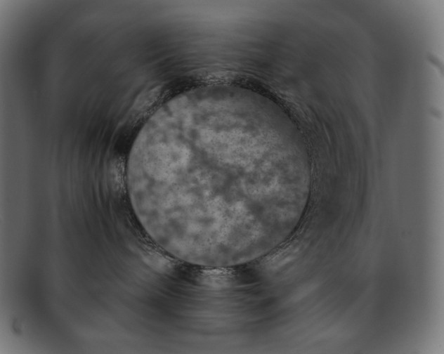 X0000091860240200709191122