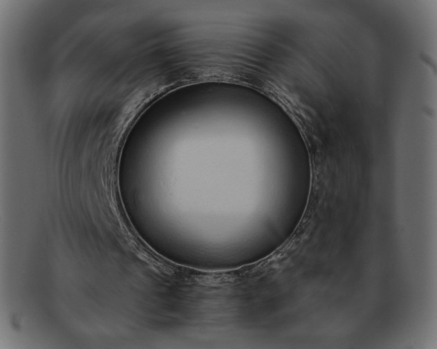 X0000091860241200709191121