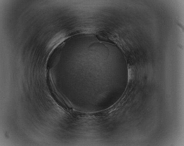 X0000091860243200709191121