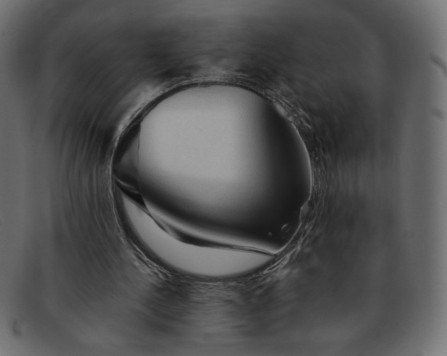 X0000091860244200709191121