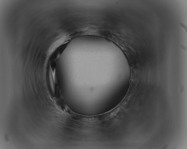 X0000091860245200709191121