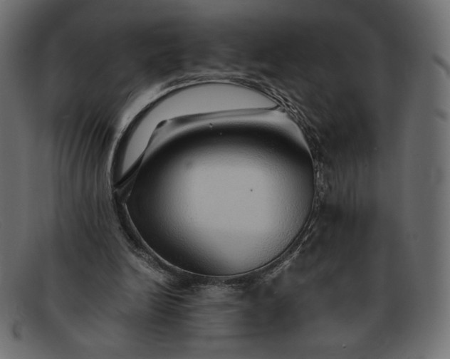 X0000091860246200709191121