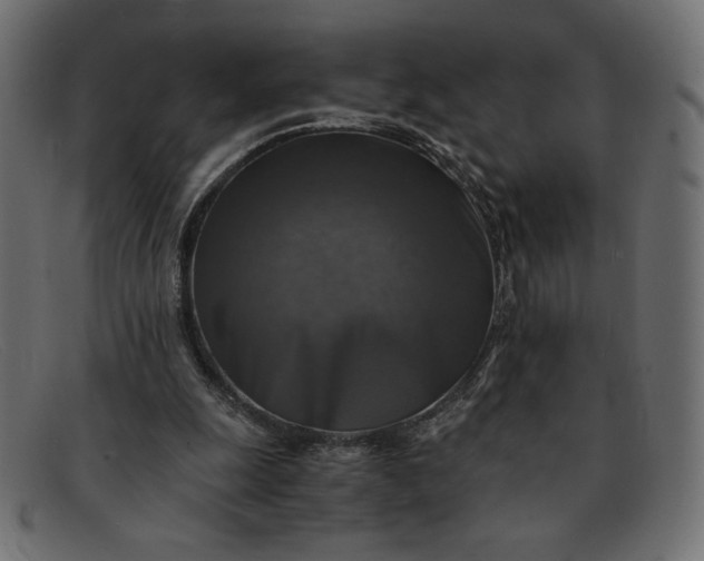 X0000091860247200709191121