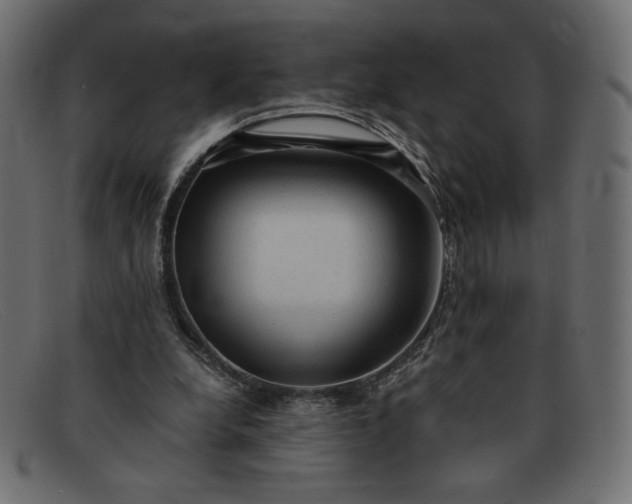 X0000091860248200709191121