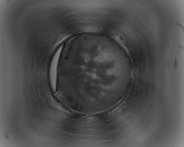 X0000091860249200709191121