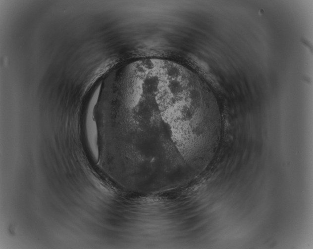 X0000091860250200709191121