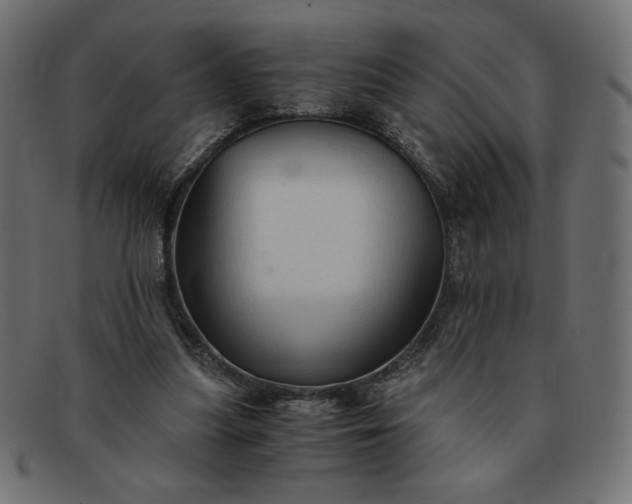 X0000091860251200709191121