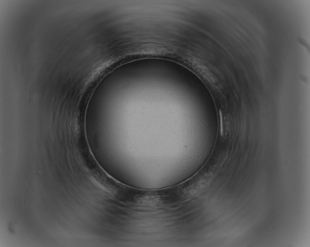 X0000091860252200709191122