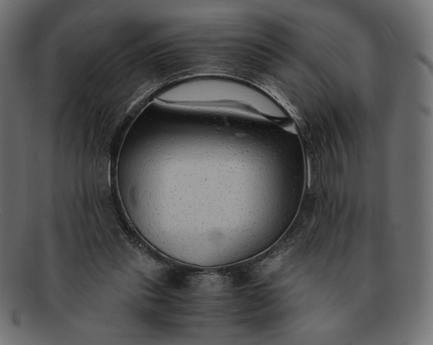 X0000091860253200709191122