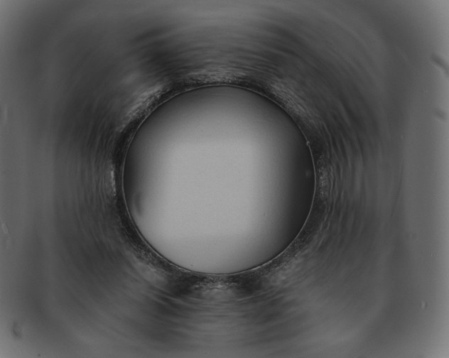 X0000091860254200709191122