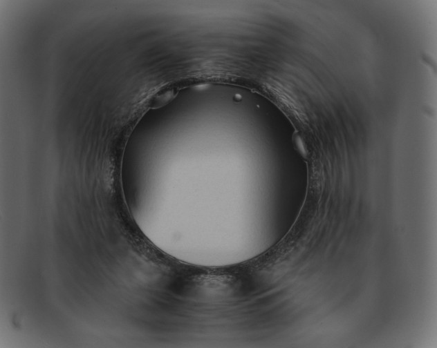 X0000091860255200709191122