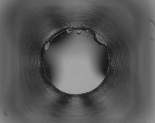 X0000091860256200709191122