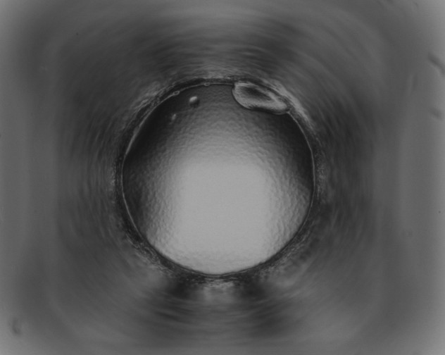 X0000091860257200709191122