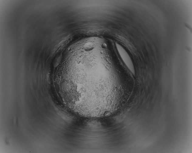 X0000091860258200709191122