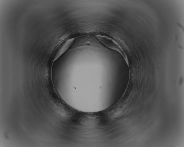 X0000091860260200709191122