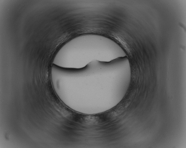 X0000091860261200709191122