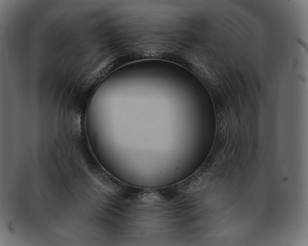 X0000091860262200709191122