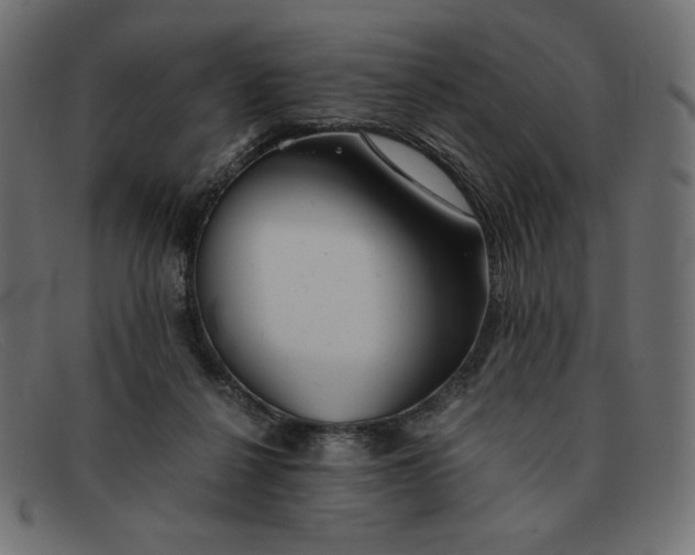 X0000091860264200709191122