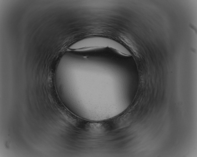 X0000091860265200709191122