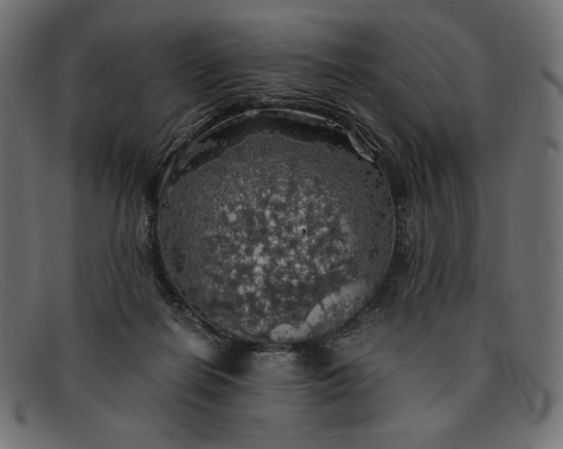 X0000091860266200709191122