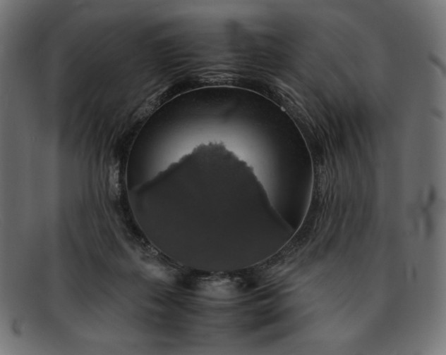 X0000091860267200709191122