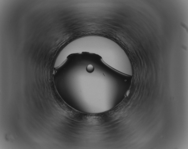 X0000091860268200709191122