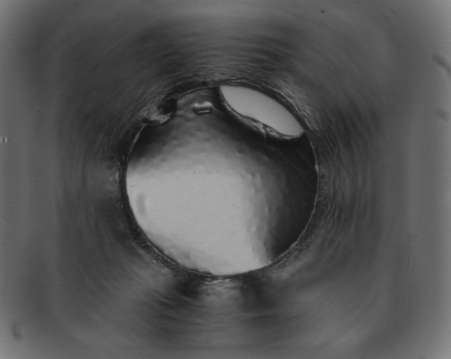 X0000091860269200709191122