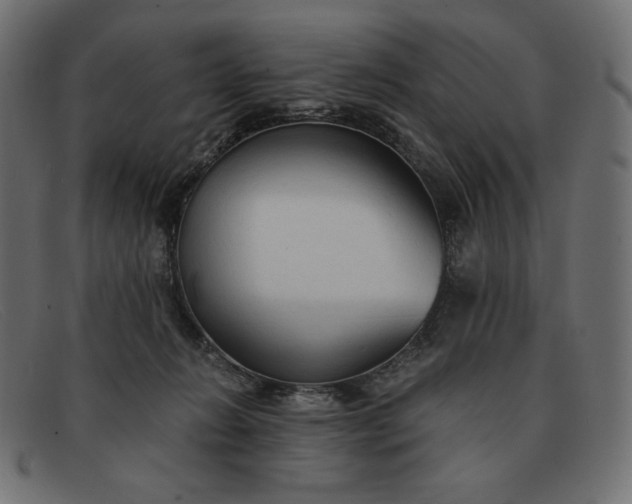 X0000091860270200709191122