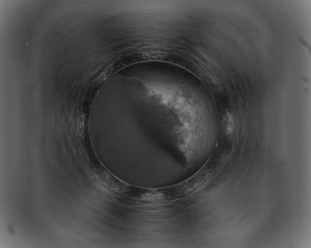 X0000091860271200709191122