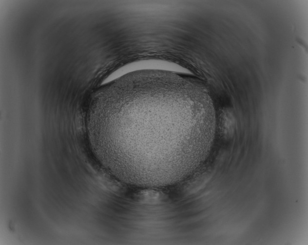 X0000091860272200709191122