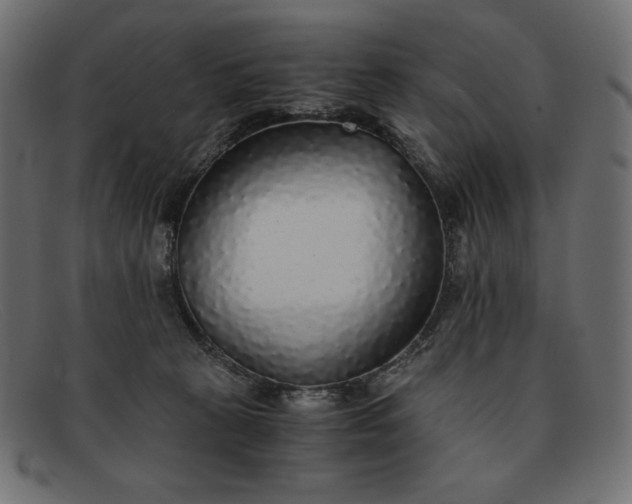 X0000091860273200709191122