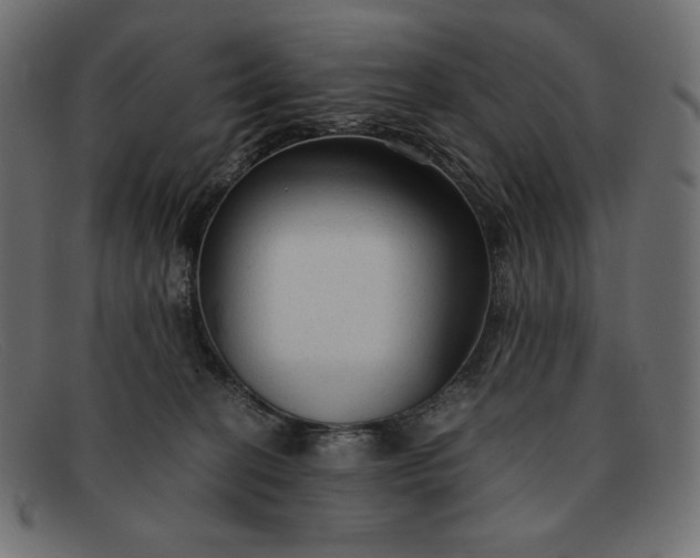 X0000091860274200709191122