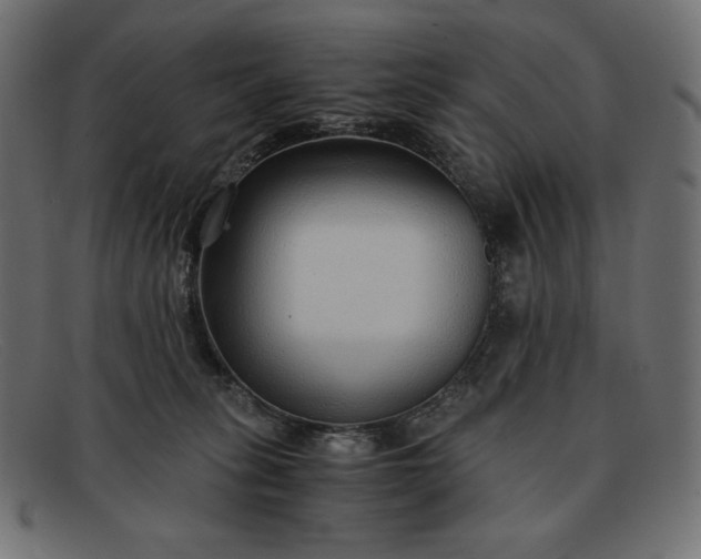 X0000091860275200709191122