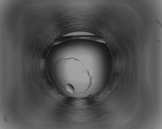 X0000091860278200709191122